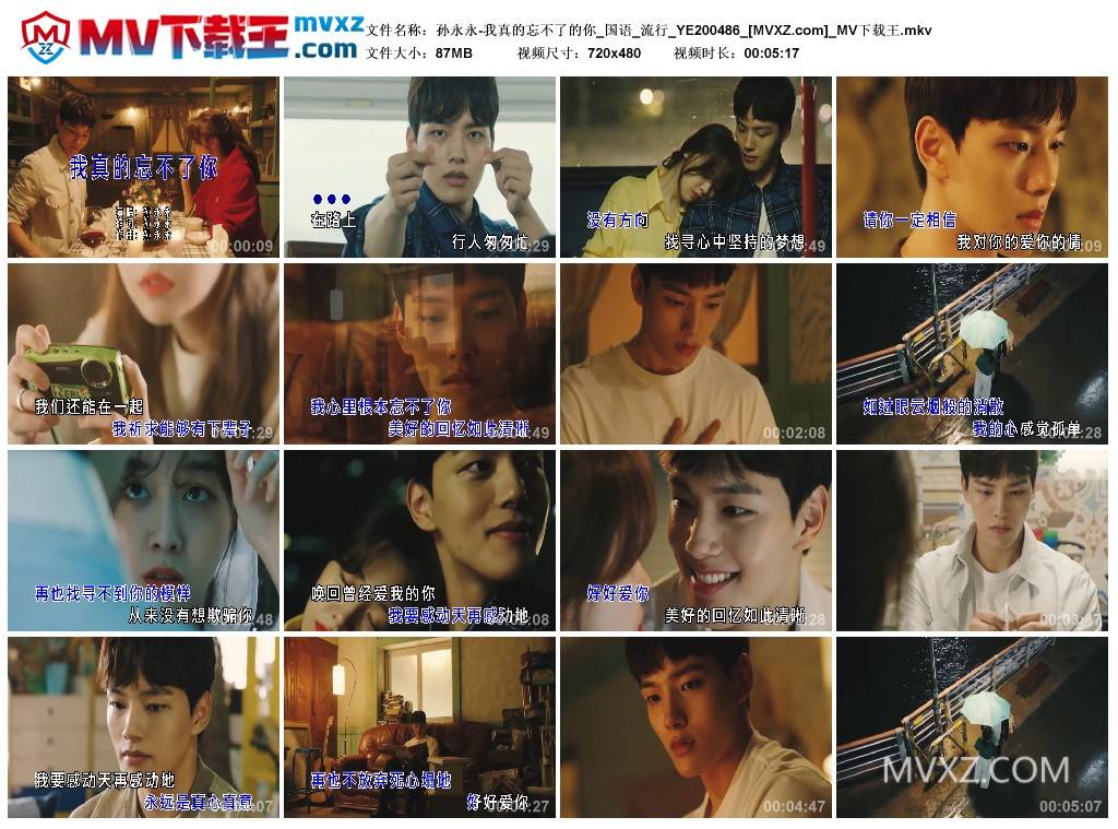 孙永永-我真的忘不了的你_国语_流行_YE200486